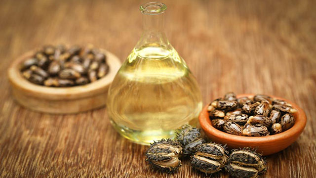 castor oil manufacturer